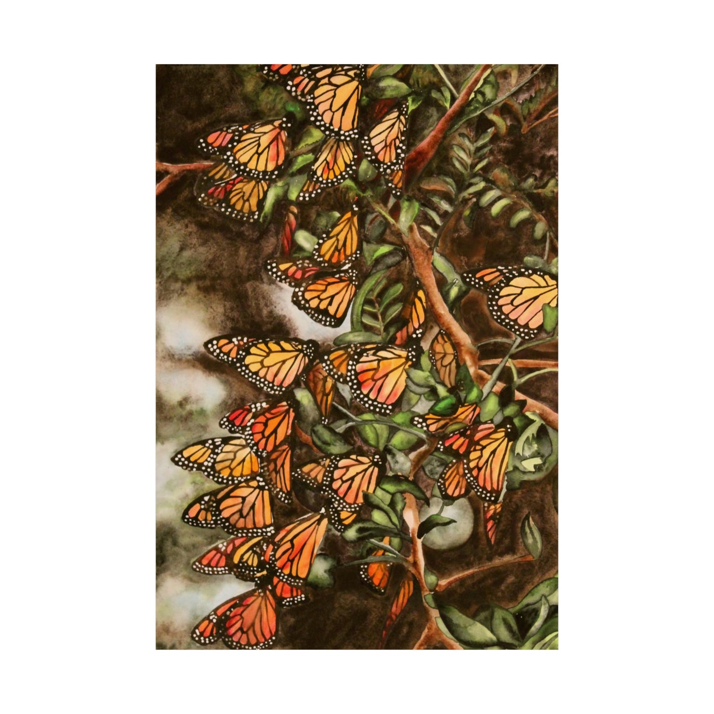 Butterflies Art Print