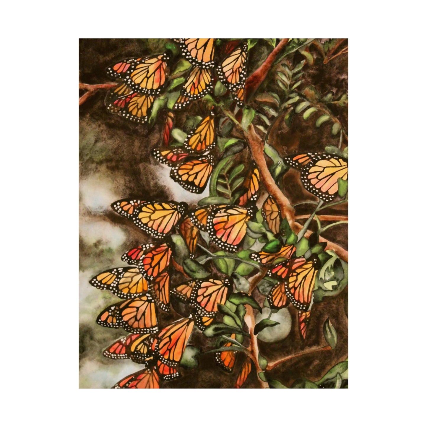 Butterflies Art Print