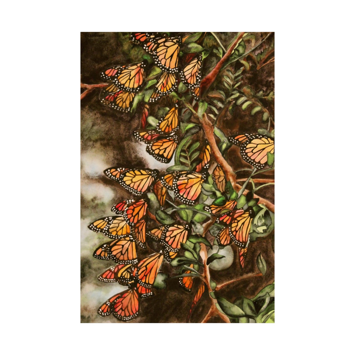 Butterflies Art Print