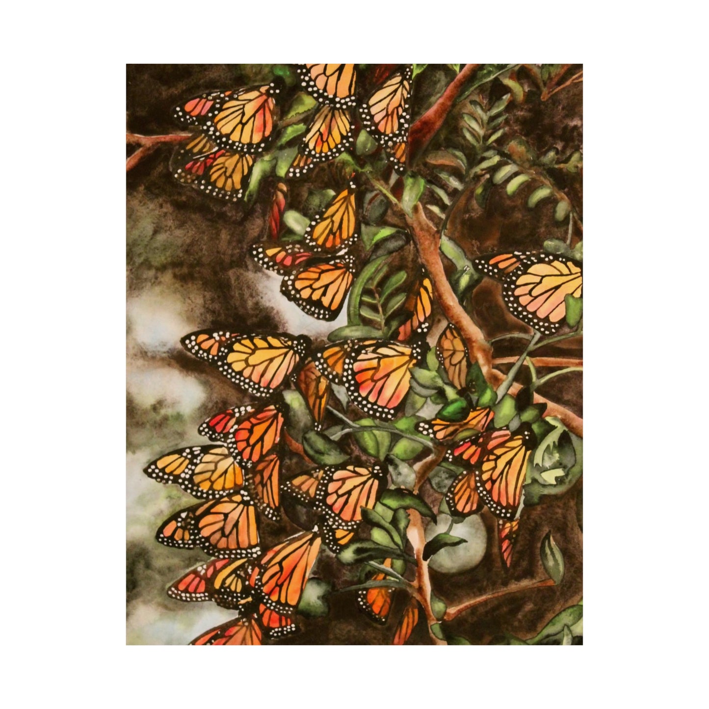 Butterflies Art Print