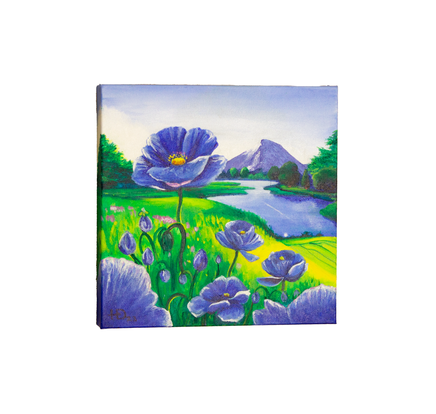 Blue Himalayan Poppies - 12"x12" - Original Acrylic on Canvas