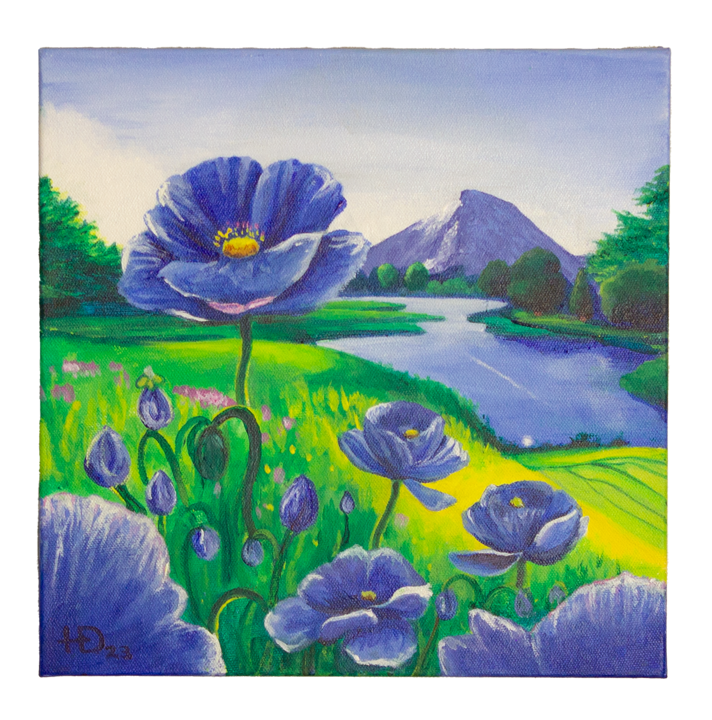 Blue Himalayan Poppies - 12"x12" - Original Acrylic on Canvas